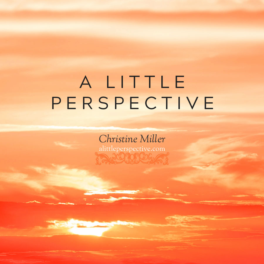 A Little Perspective | Christine Miller