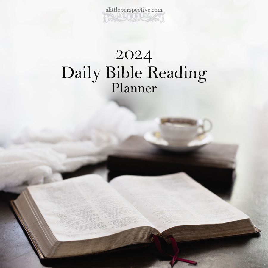 2024 Daily Bible Reading Planner | nothingnewpress.com